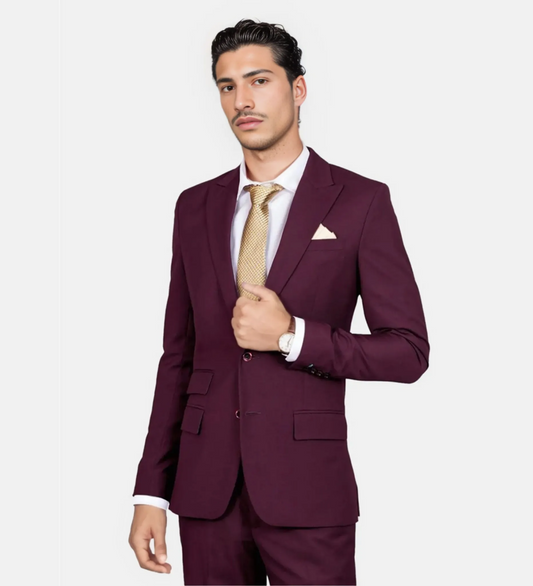 Rich Purple Two Piece Suit