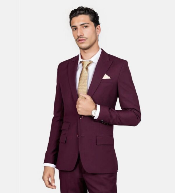 rich purple two piece suit